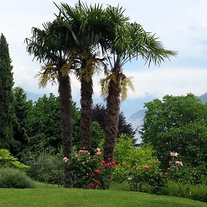 Bellagio View , Oliveto Lario Italy